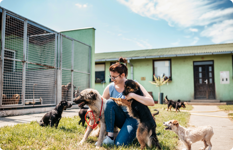 A woman holding and playing with dogs at an animal shelter., Picture, Picture