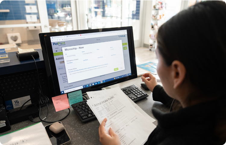 A woman works at a computer., Picture, Picture